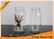 Regular Mouth Food Storage 25oz Mason Jar With Metal Screw Cap Glass Jars Wholesale supplier