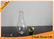 300ml Light Bulb Beverage Glass Bottles For Juice or Milk Packaging With Screw Cap supplier