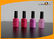 20ml High Cap PET Empty Fingernail Polish Bottles Logo Printing with Black Brush supplier