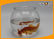 Pet Products 2800ml/93OZ Plastic Fish Bowl Aquarium Tank Mini Elegant Table Accessories supplier